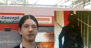 Swedish high school killer Anton Lundin Pettersson