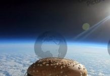 Big Mac and skies – burger launched into space and eaten on return