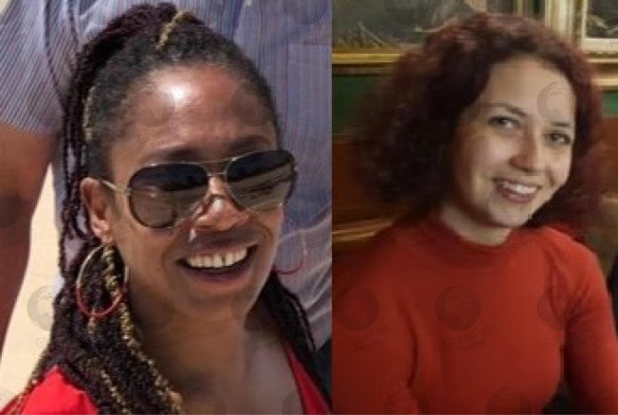 BIBAA HENRY-NICOLA SMALLMAN-BIRTHDAY GATHERING DOUBLE MURDER IN BRENT PARK