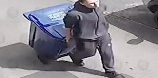 ‘Wheelie bin’ killer Rocky Marciano Price, 17, jailed for life for random murder of teaching assistant Lindsay Birbeck, 47