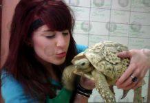 Twin Melissa Laurie who was attacked by a crocodile in Mexico said to be in a ‘delicate’ but ‘stable’ condition