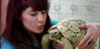 Twin Melissa Laurie who was attacked by a crocodile in Mexico said to be in a ‘delicate’ but ‘stable’ condition